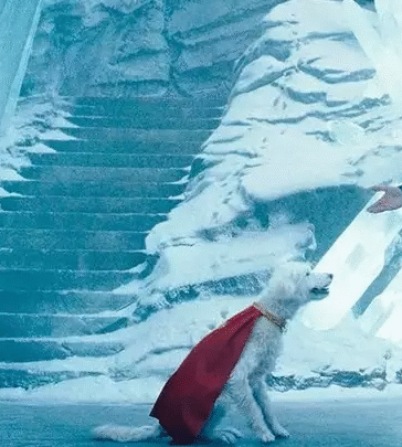 Superman | James Gunn confirma que sequência começará a ser filmada em breve